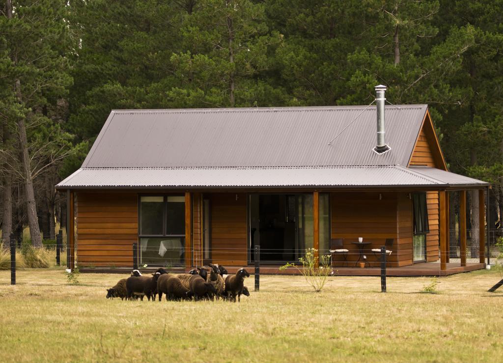 Woodbank Park Cottages Hanmer Springs Room photo